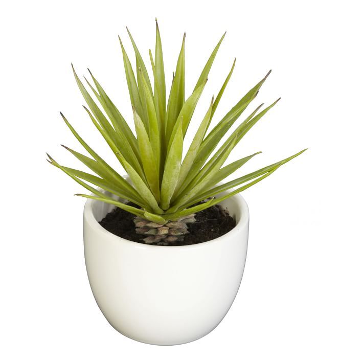 Faux Potted Southwest Plants — view 1